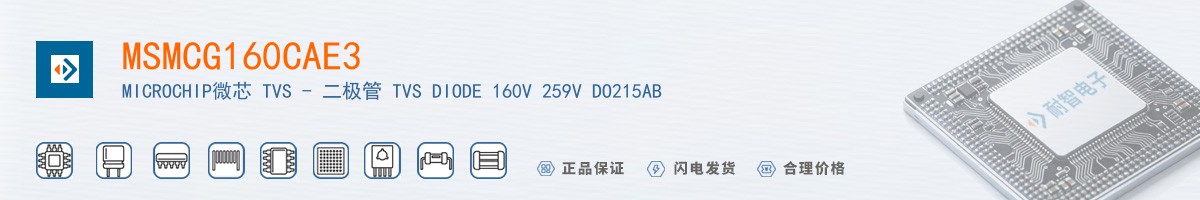 MSMCG160CAE3������