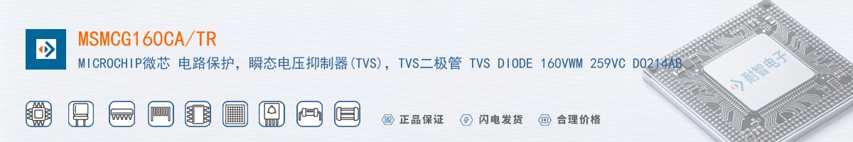 MSMCG160CA/TR������