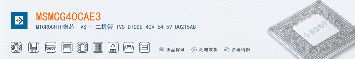 MSMCG40CAE3������