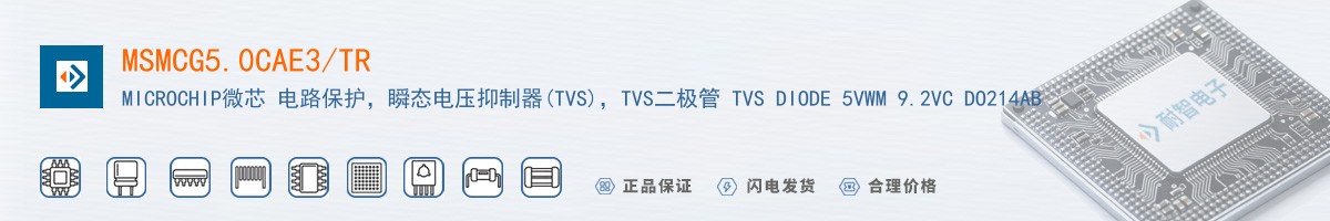 MSMCG5.0CAE3/TR������