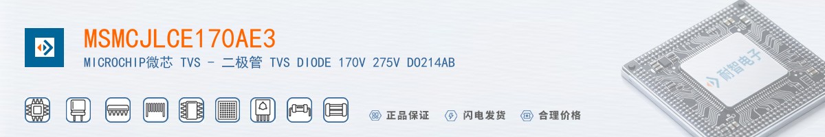 MSMCJLCE170AE3������