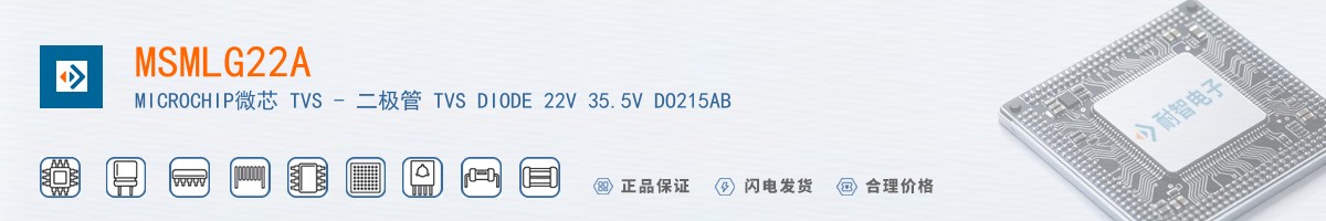 MSMLG22A������