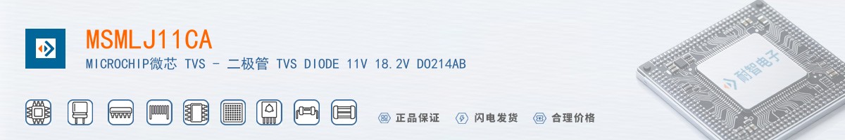 MSMLJ11CA������