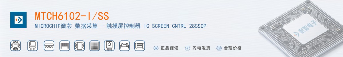 MTCH6102-I/SS������