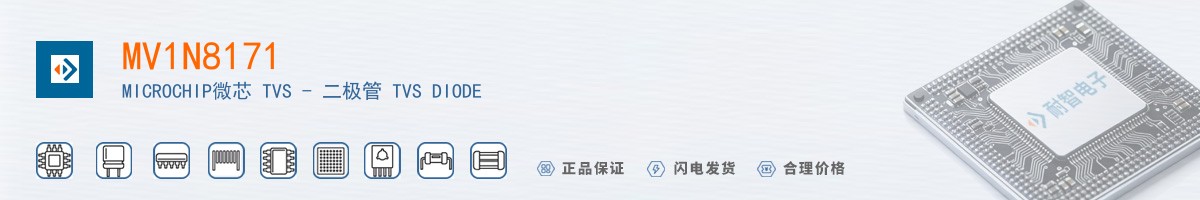 MV1N8171������