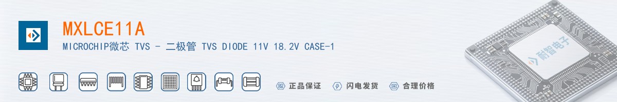 MXLCE11A������