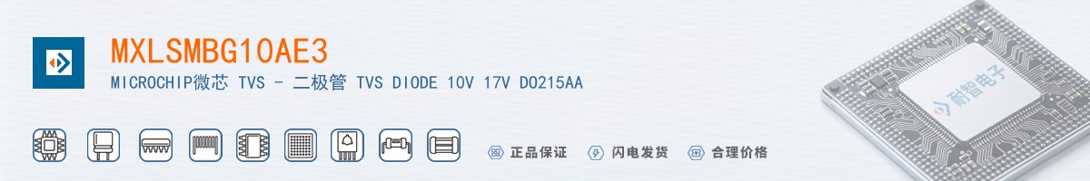 MXLSMBG10AE3������