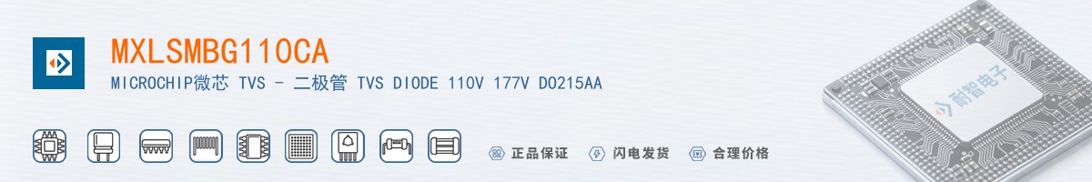 MXLSMBG110CA������