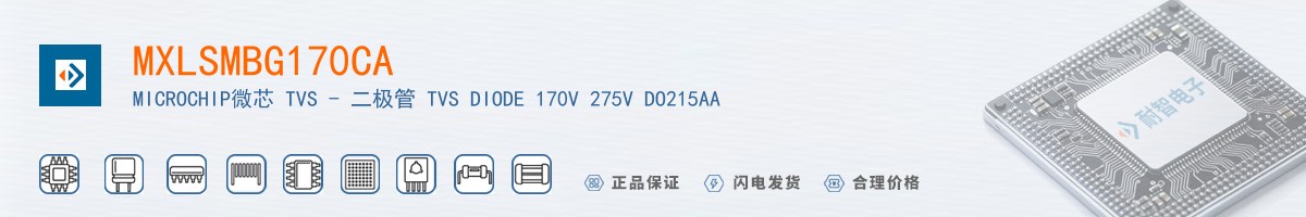 MXLSMBG170CA������