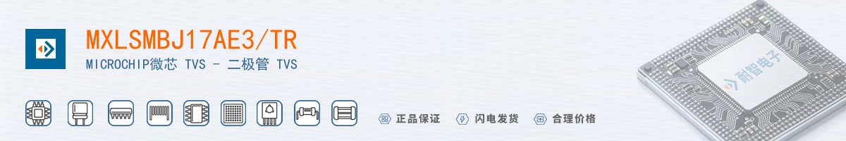 MXLSMBJ17AE3/TR������