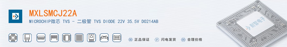 MXLSMCJ22A������