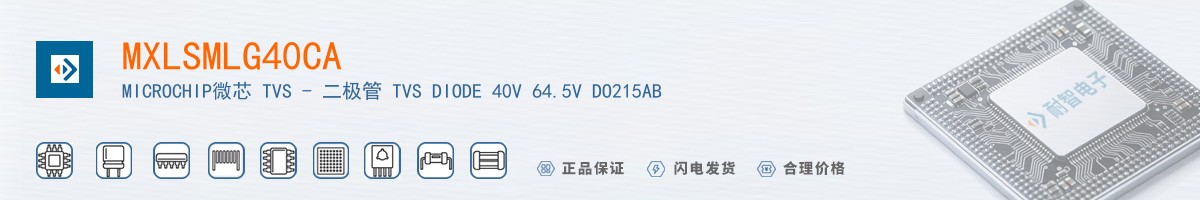 MXLSMLG40CA������
