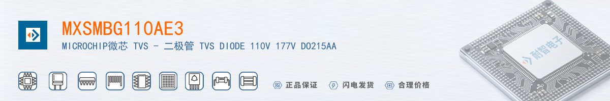 MXSMBG110AE3������