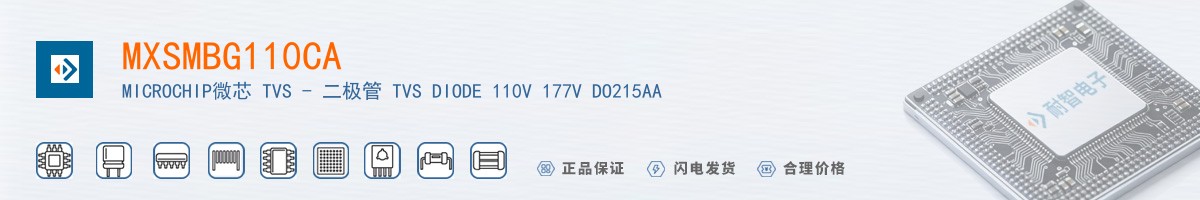 MXSMBG110CA������