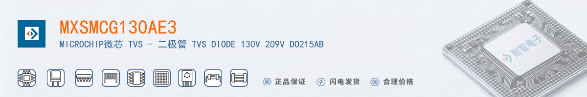 MXSMCG130AE3������