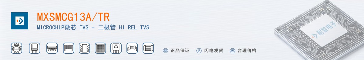 MXSMCG13A/TR������