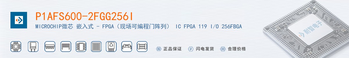 P1AFS600-2FGG256I������