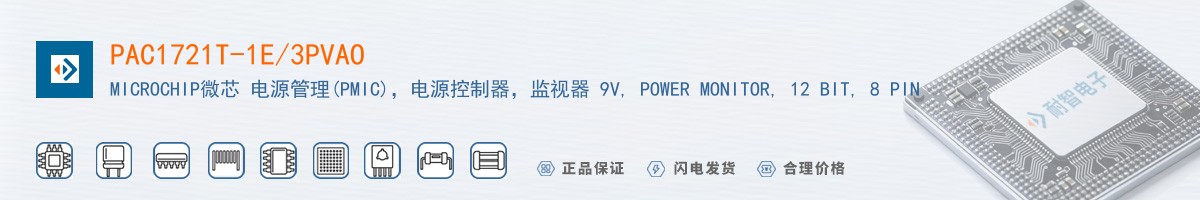 PAC1721T-1E/3PVAO������