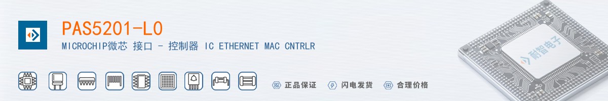 PAS5201-L0������