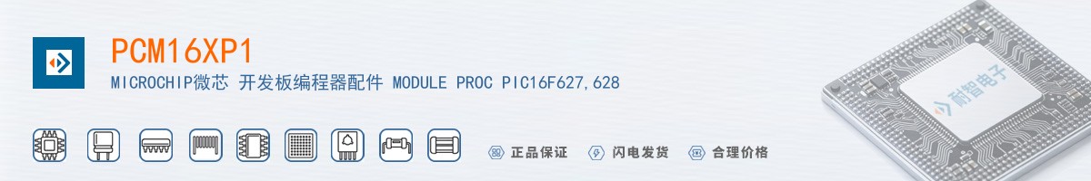 PCM16XP1������