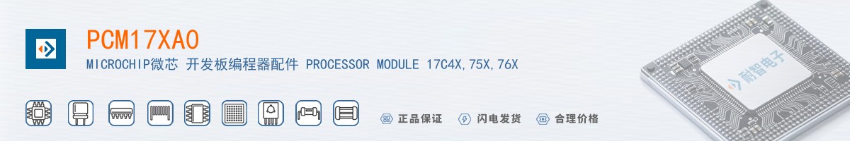 PCM17XA0������