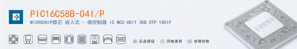 PIC16C58B-04I/P������