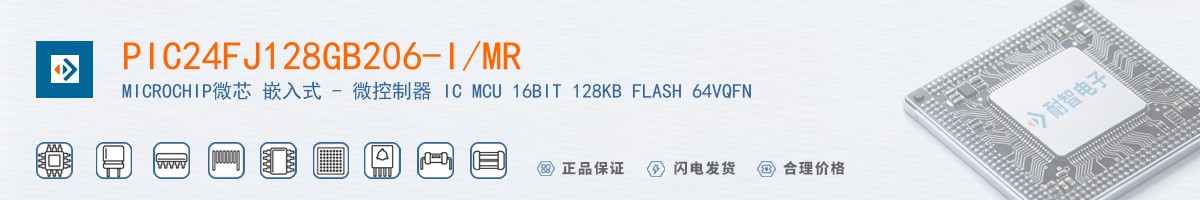 PIC24FJ128GB206-I/MR������