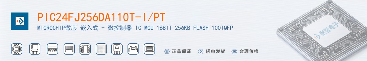 PIC24FJ256DA110T-I/PT������