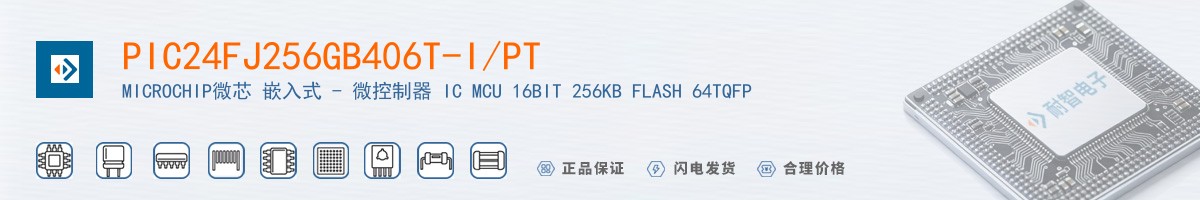 PIC24FJ256GB406T-I/PT������