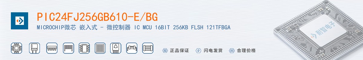 PIC24FJ256GB610-E/BG������