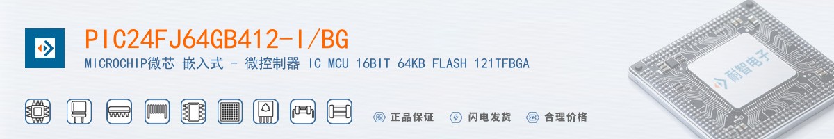PIC24FJ64GB412-I/BG������