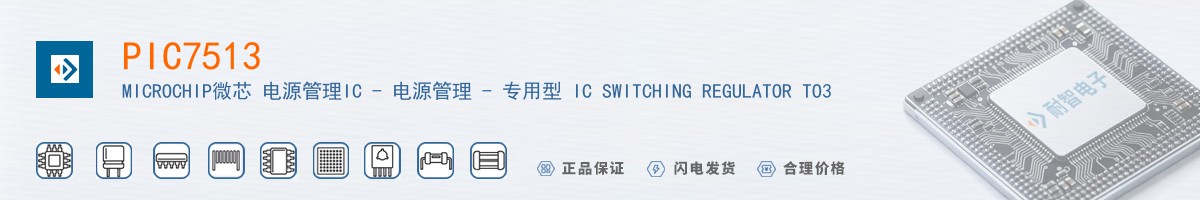 PIC7513������