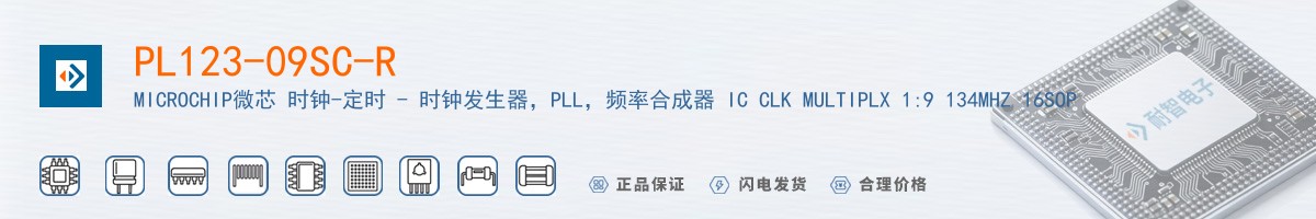 PL123-09SC-R������