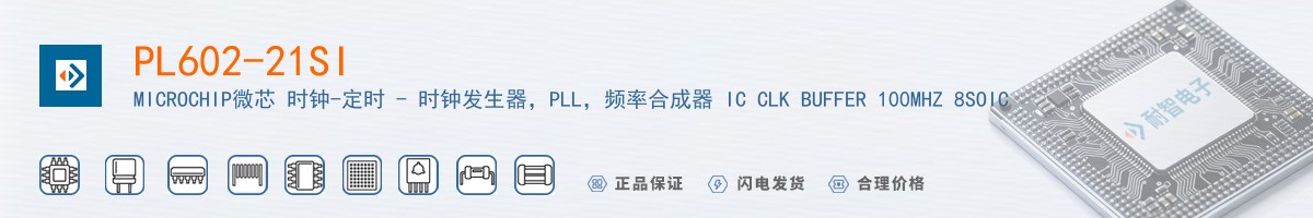 PL602-21SI������