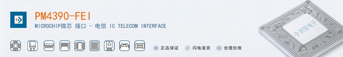 PM4390-FEI������