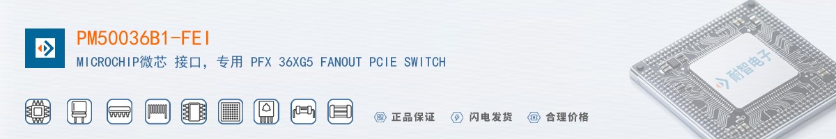 PM50036B1-FEI������