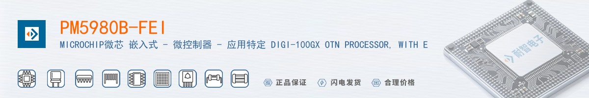 PM5980B-FEI������