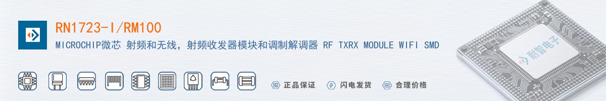 RN1723-I/RM100������