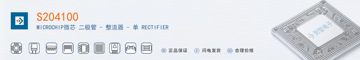 S204100������