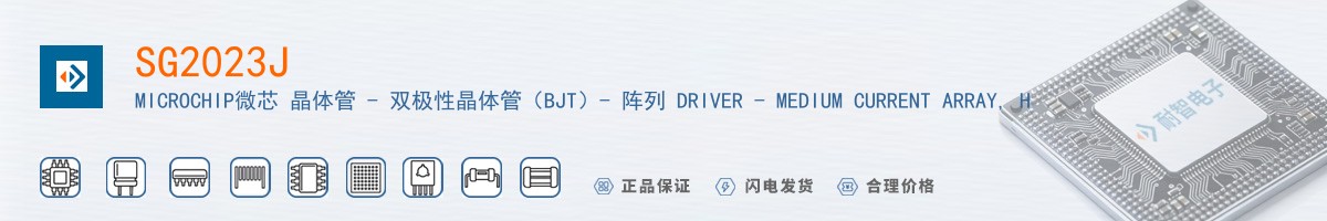 SG2023J������