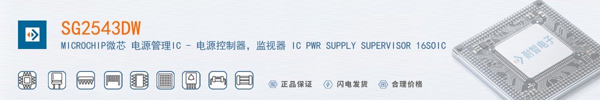 SG2543DW������