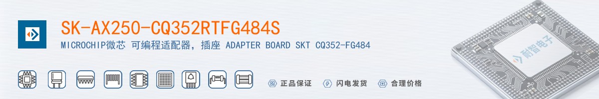 SK-AX250-CQ352RTFG484S������