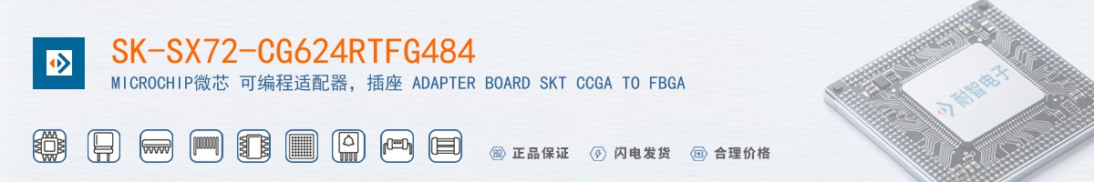 SK-SX72-CG624RTFG484������