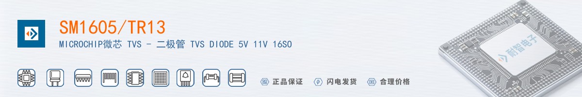 SM1605/TR13������