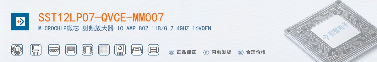 SST12LP07-QVCE-MM007������