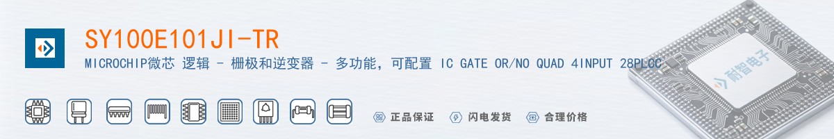 SY100E101JI-TR������