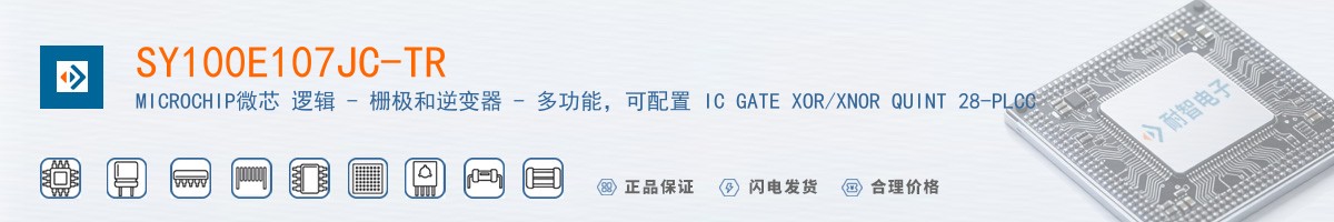 SY100E107JC-TR������