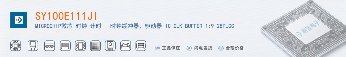 SY100E111JI������