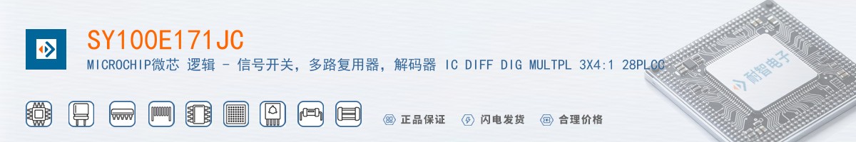 SY100E171JC������