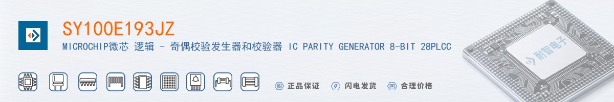 SY100E193JZ������